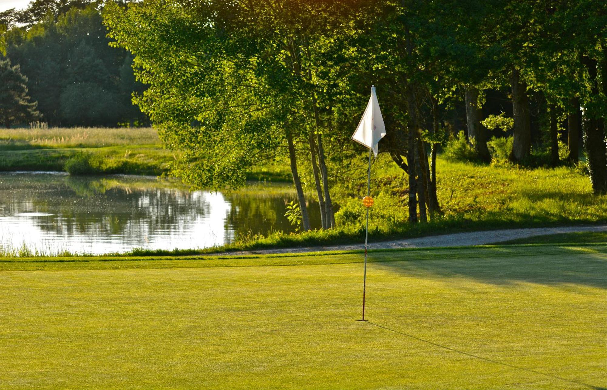 Domaine Du Roncemay - Hotel, Restaurants, Spa & Golf Aillant-sur-Tholon Kültér fotó