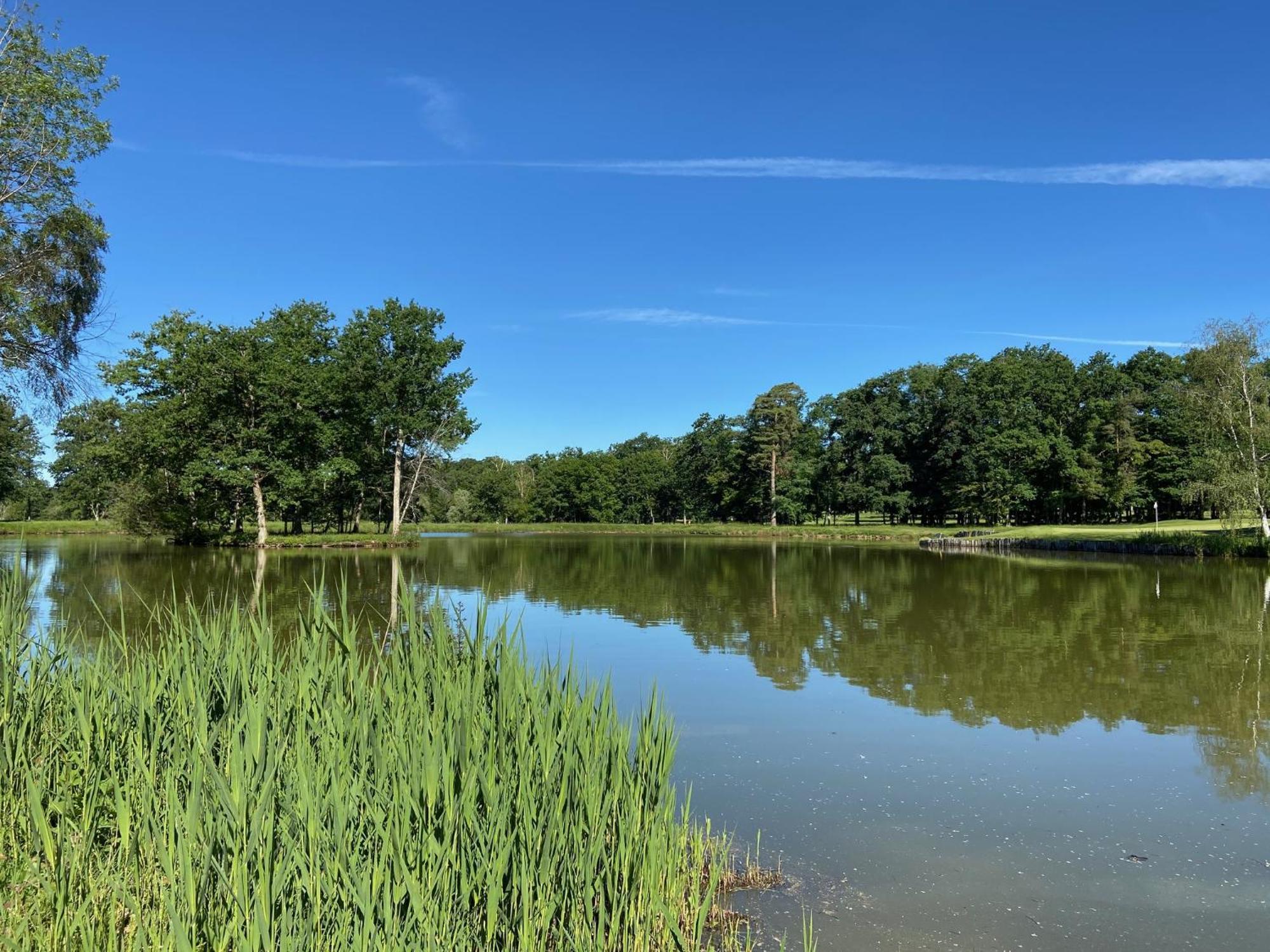 Domaine Du Roncemay - Hotel, Restaurants, Spa & Golf Aillant-sur-Tholon Kültér fotó
